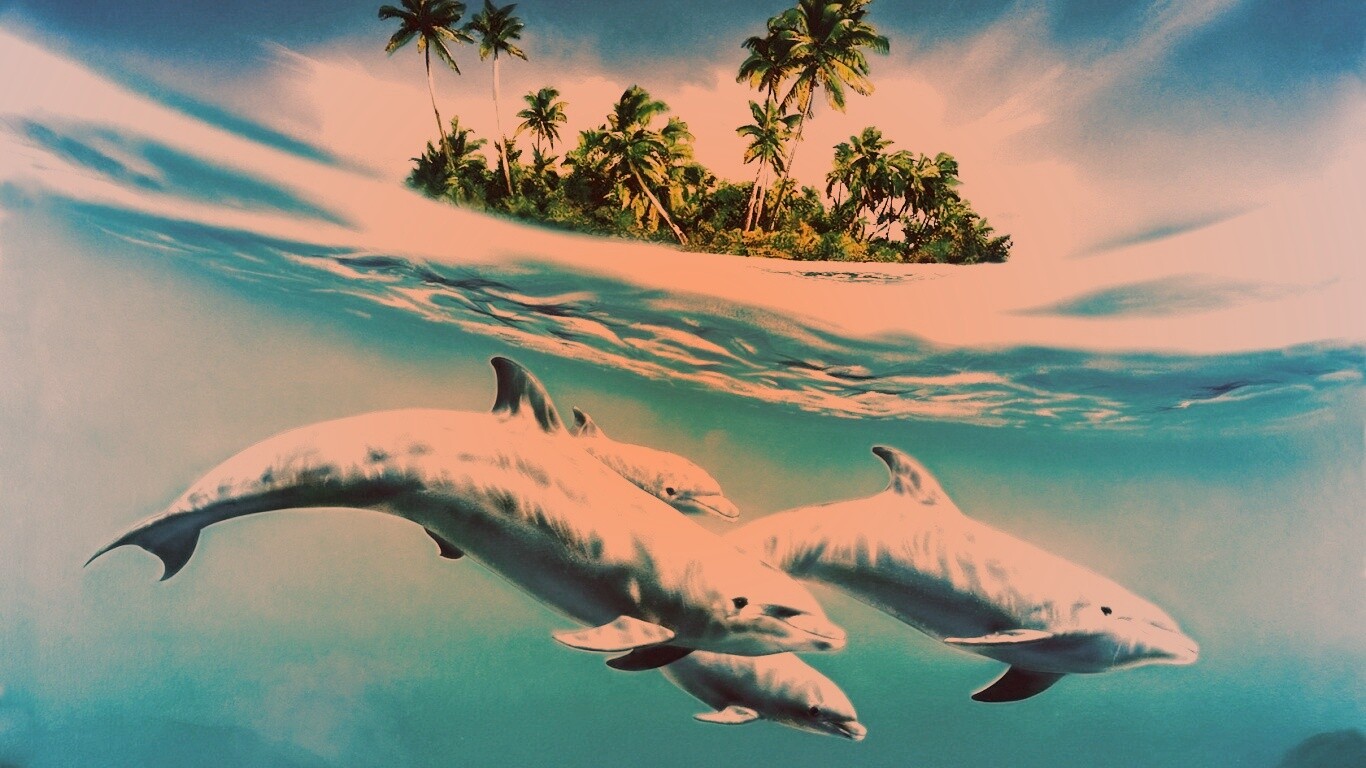 Остров дельфинов обои