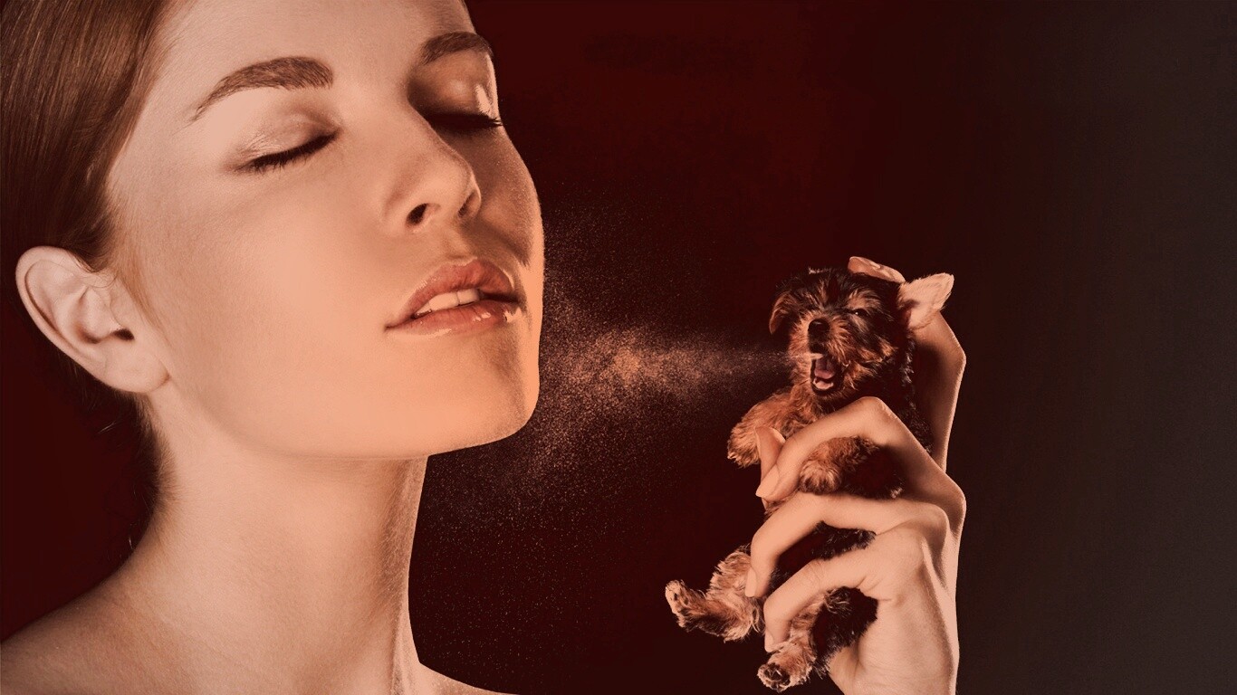 Соблюдайте гигиену обои