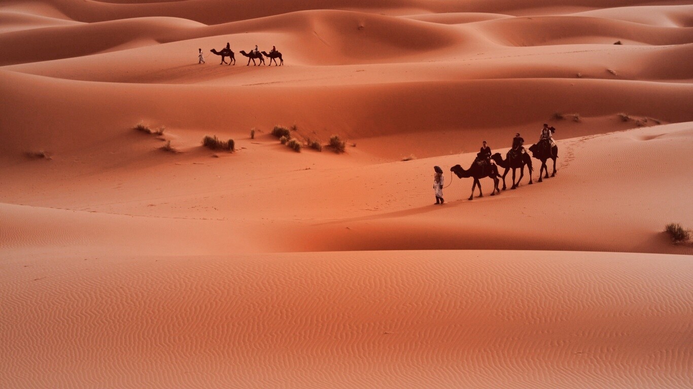 Караваны пустыни обои