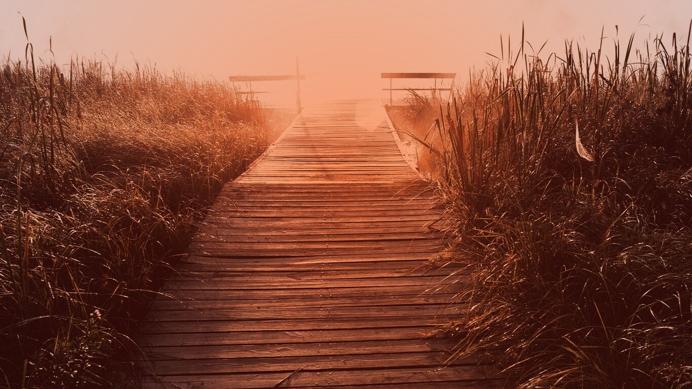 Выход к реке обои