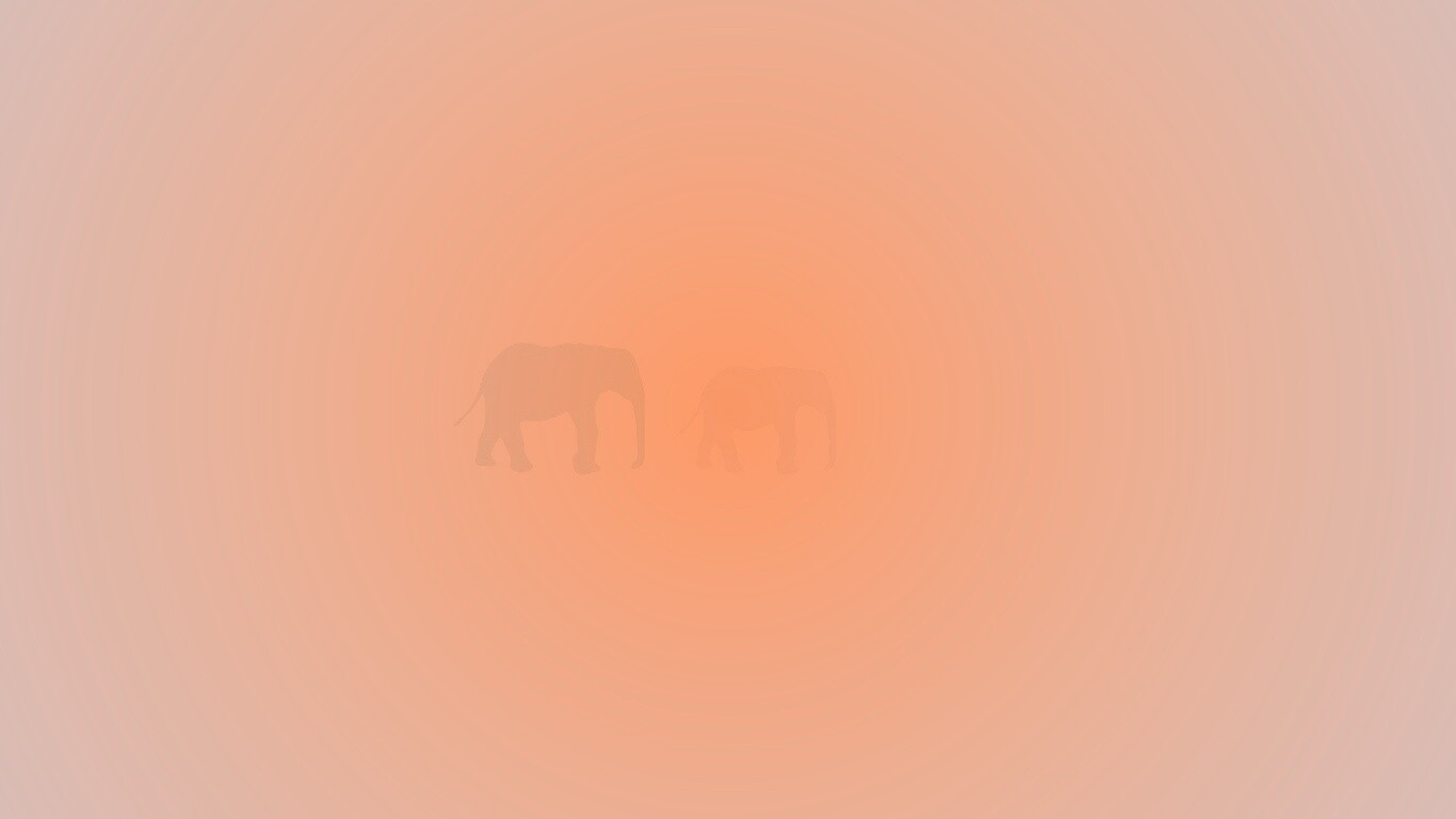 Вереница слонов обои