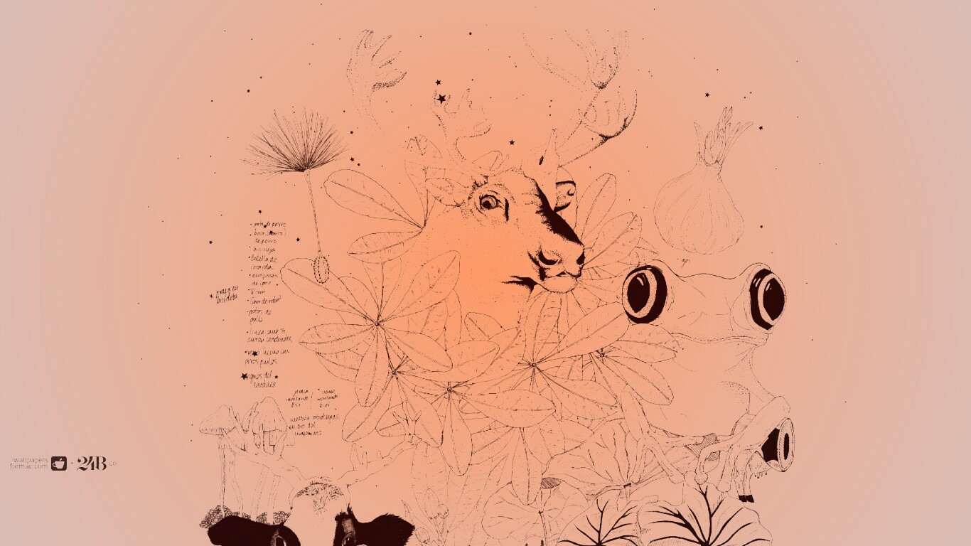 Животные на рабочий стол Apple обои