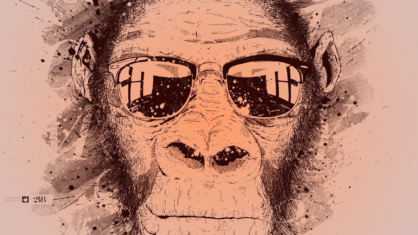 Макака в очках обои