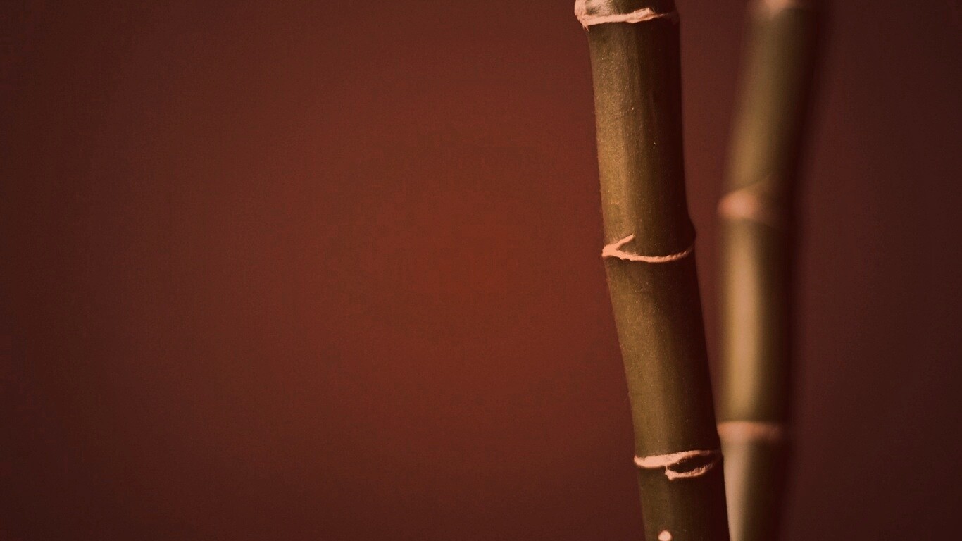 Макро фото стебля бамбука обои