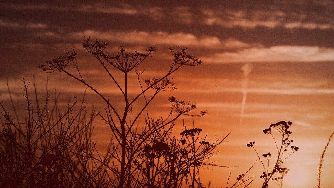 Степной закат обои