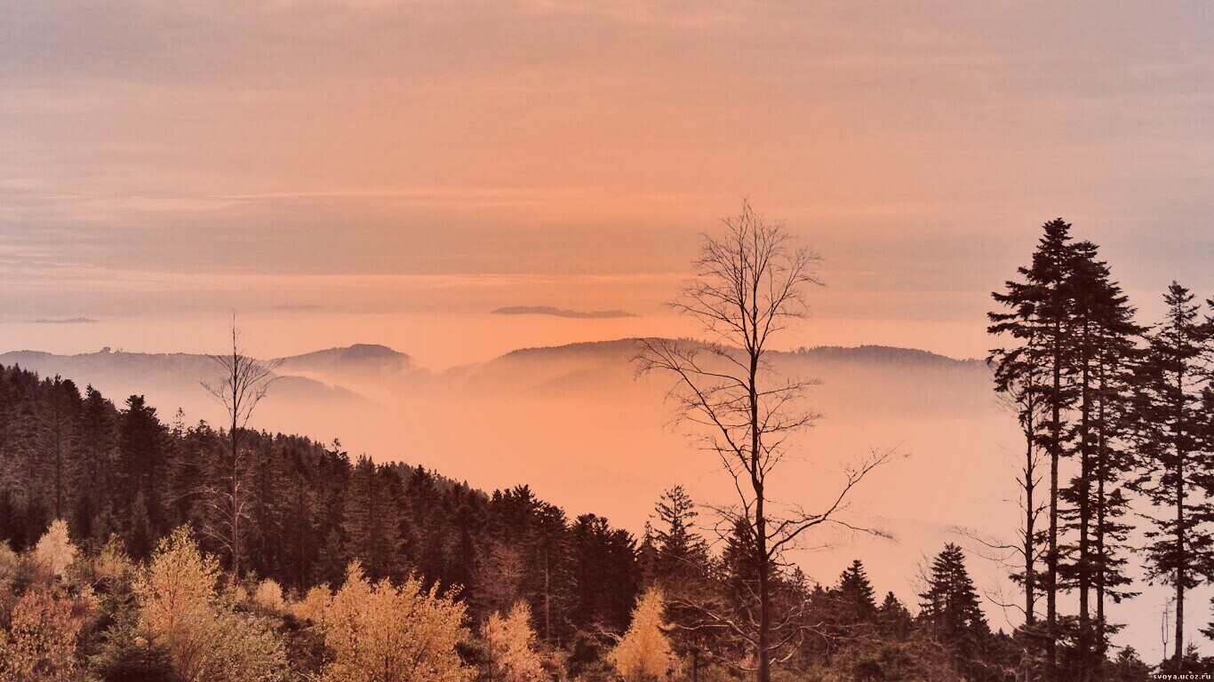 Холмы в тумане обои