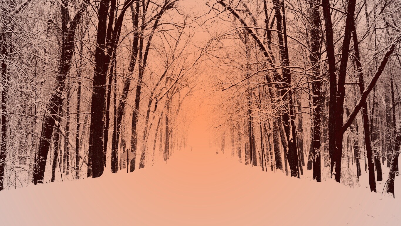 Дорога зимой в парке обои