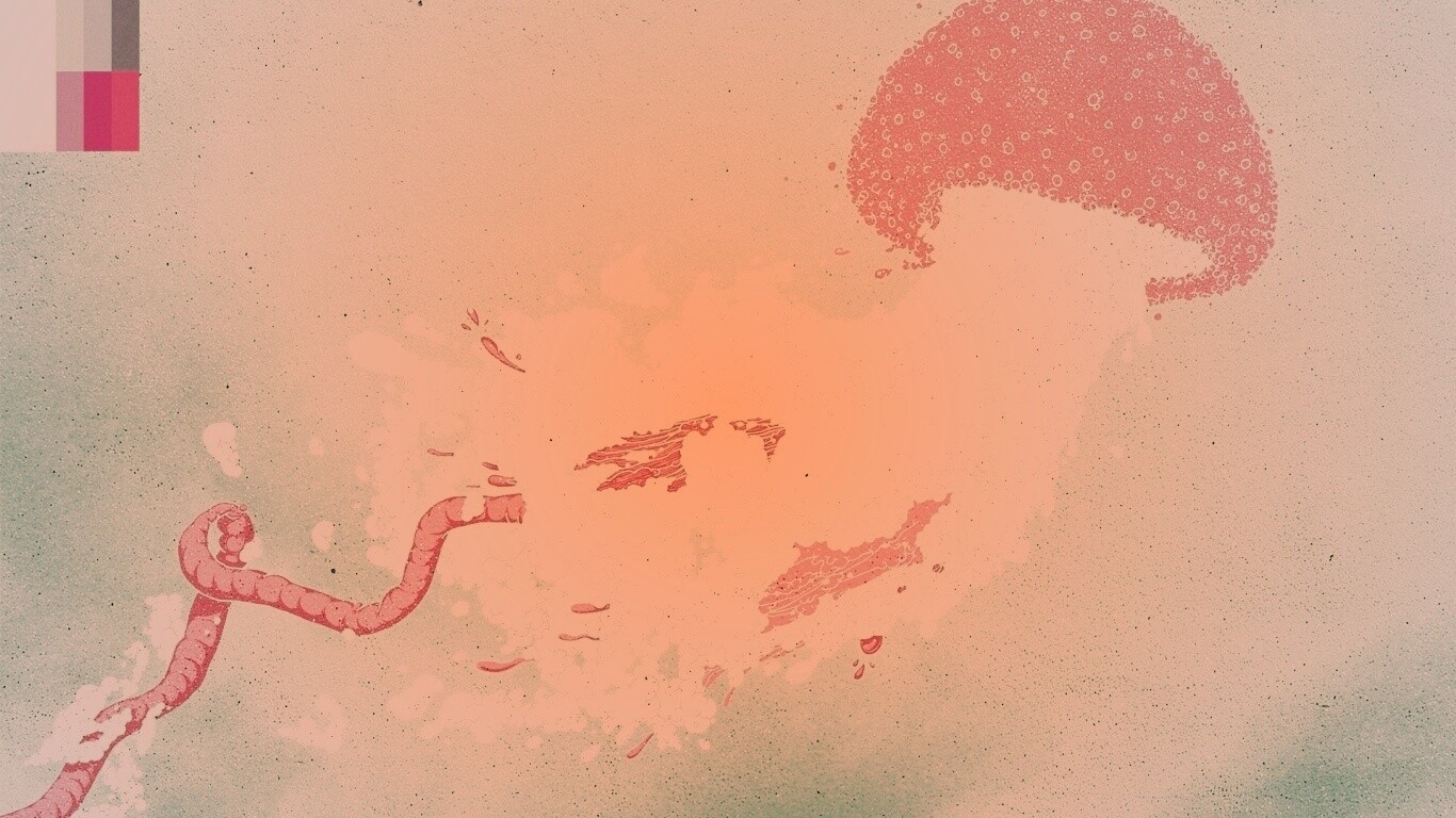 Розовая медуза обои