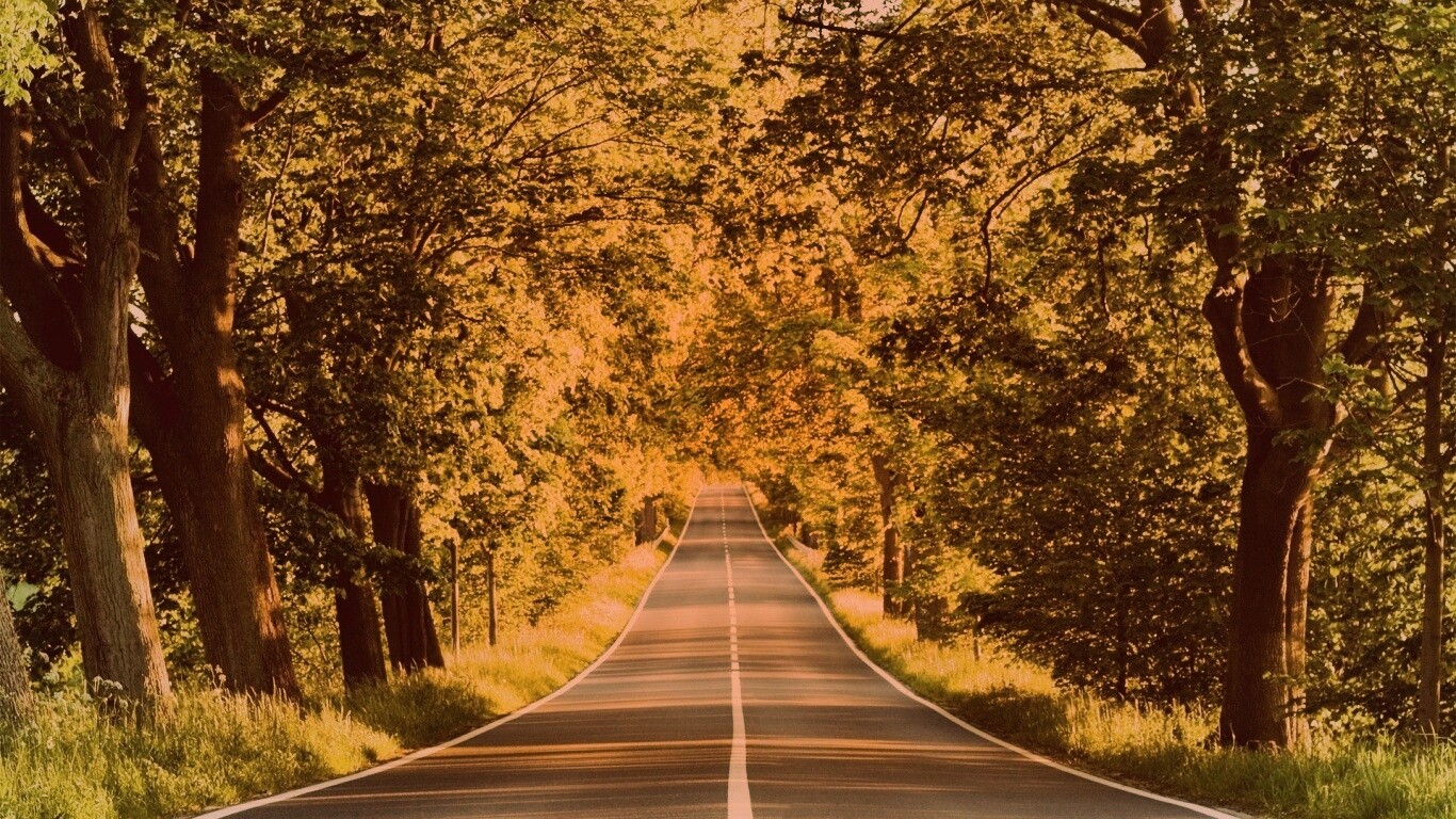 Под горку и в лес обои