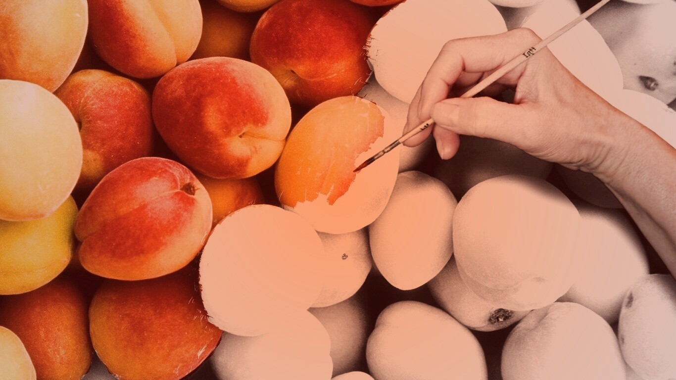 Крася абрикосы обои