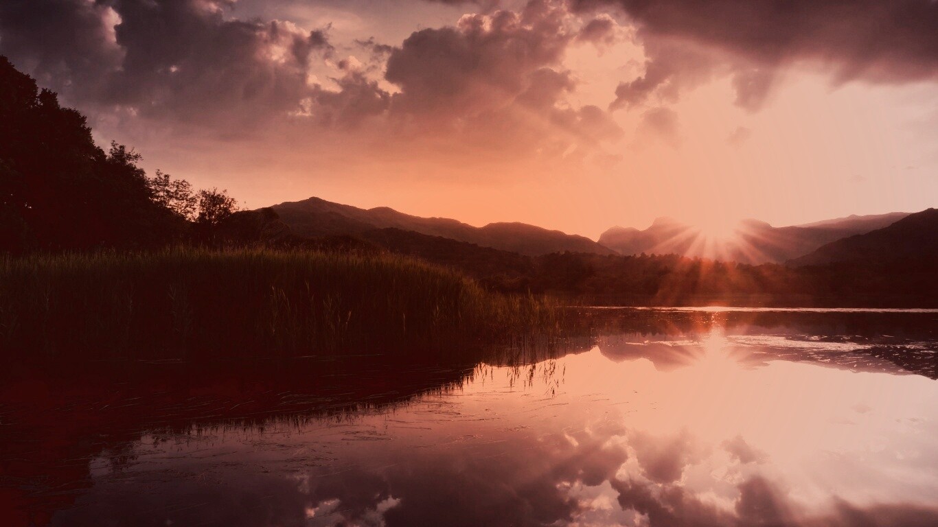 Закат за лесом обои