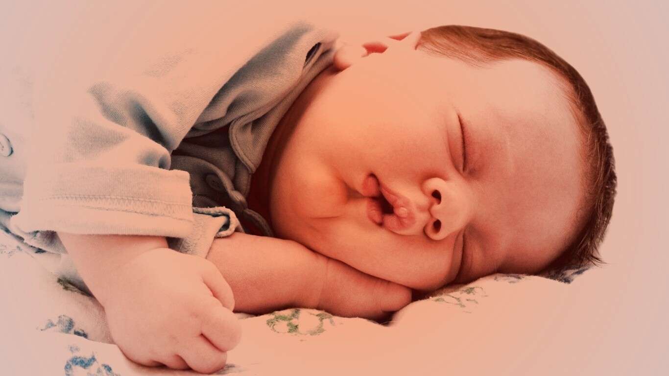 Спящая прелесть обои