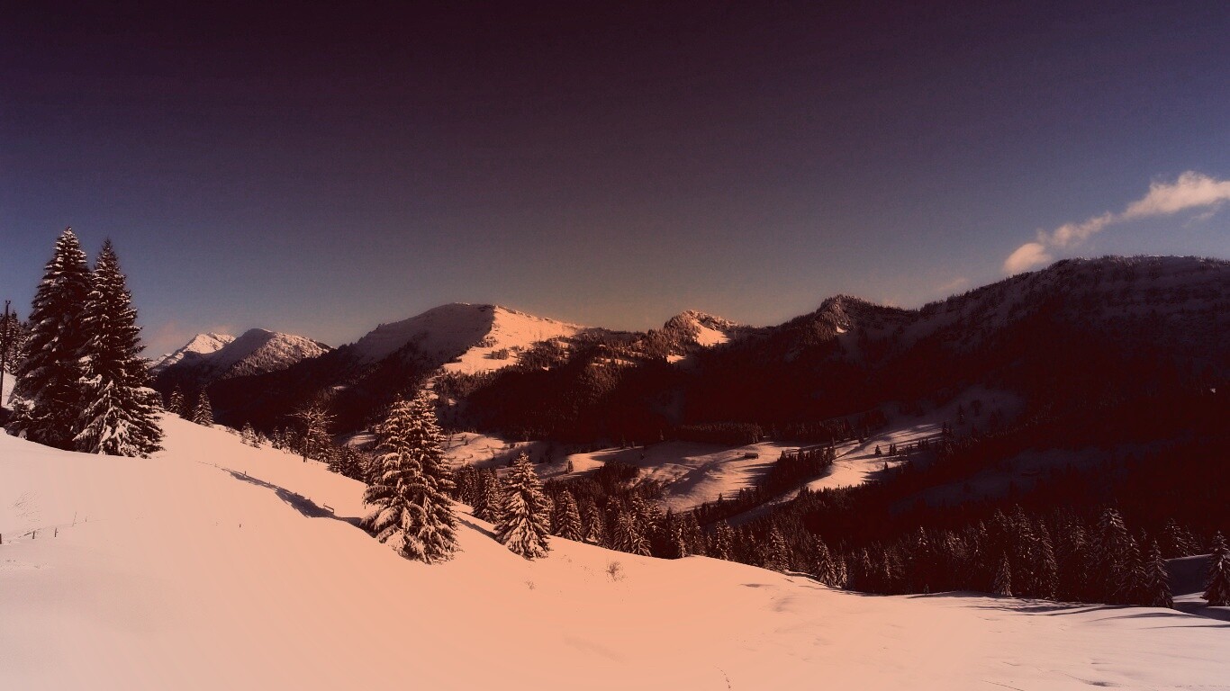 Лес в горах обои