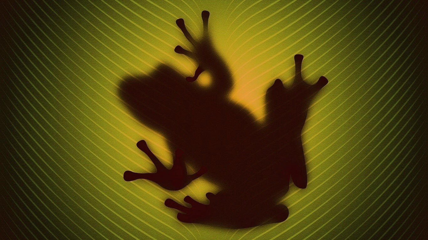 Силуэт лягушки просвечивает сквозь зеленый лист обои