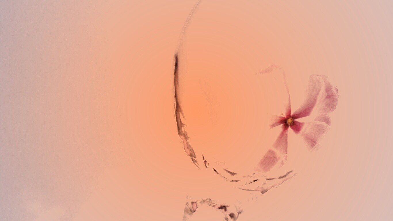 Нежный цветок в бокале на фоне голубого неба обои