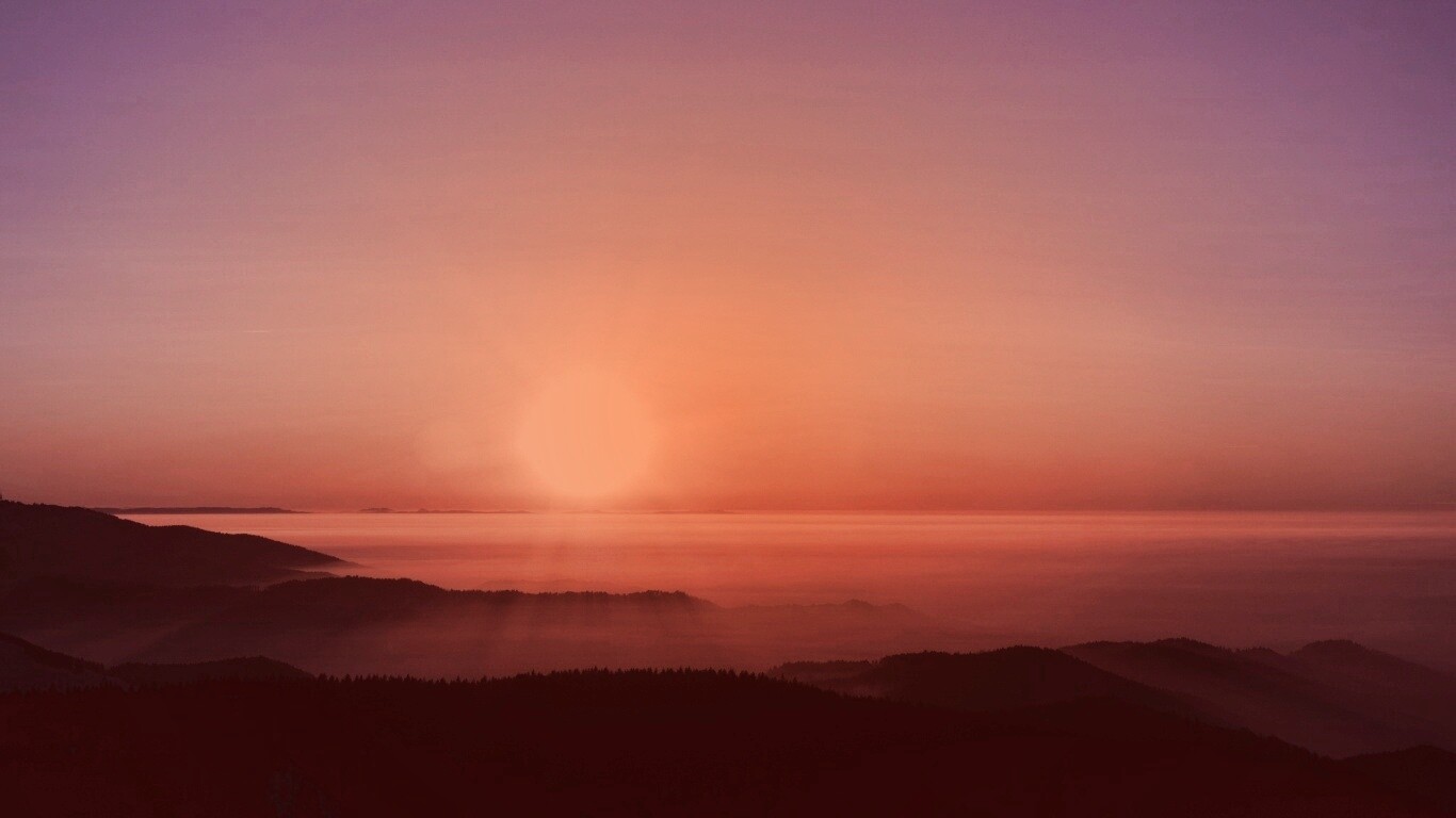 Восход солнца над лесом обои