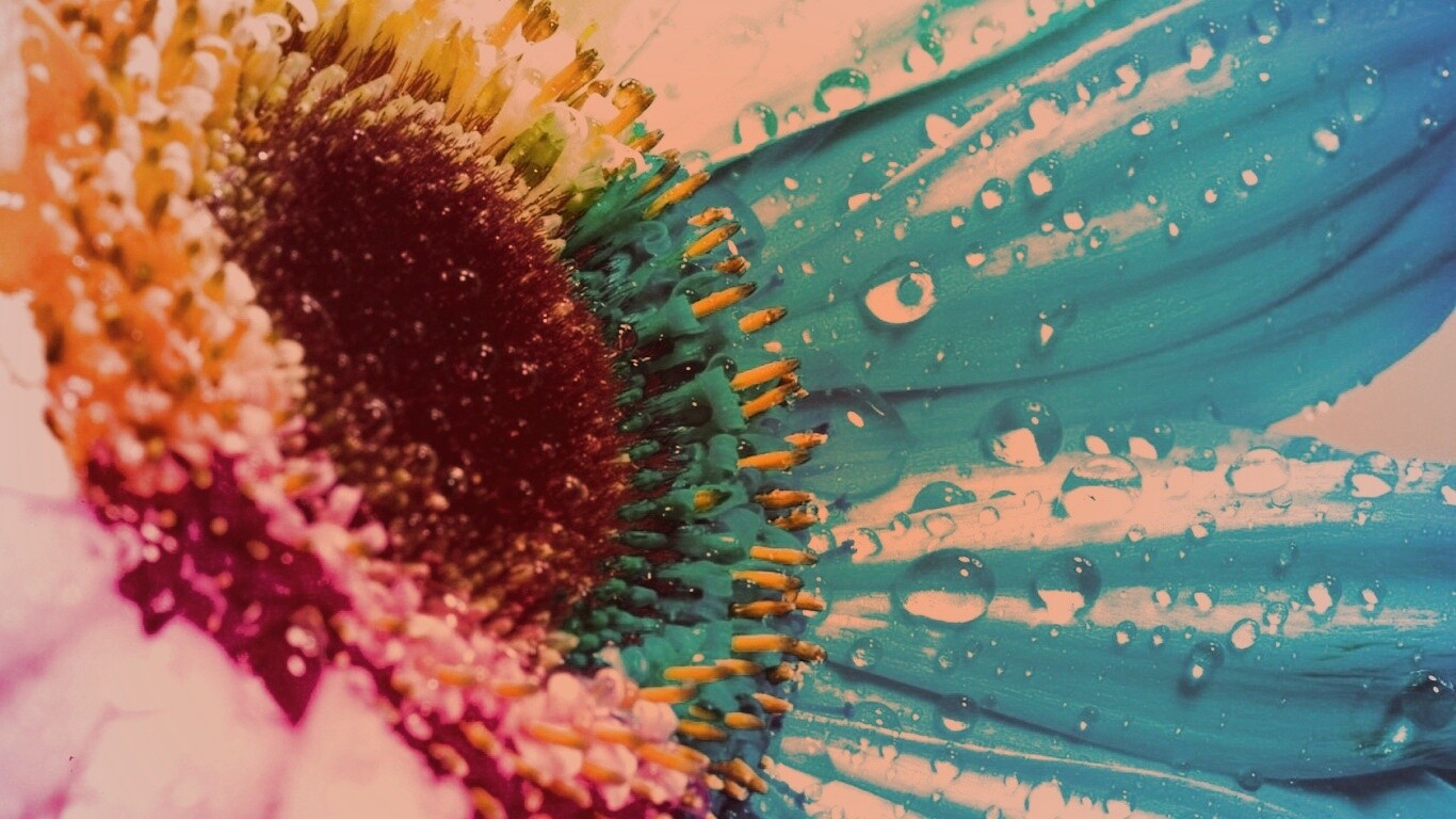 Цветик семицветик обои