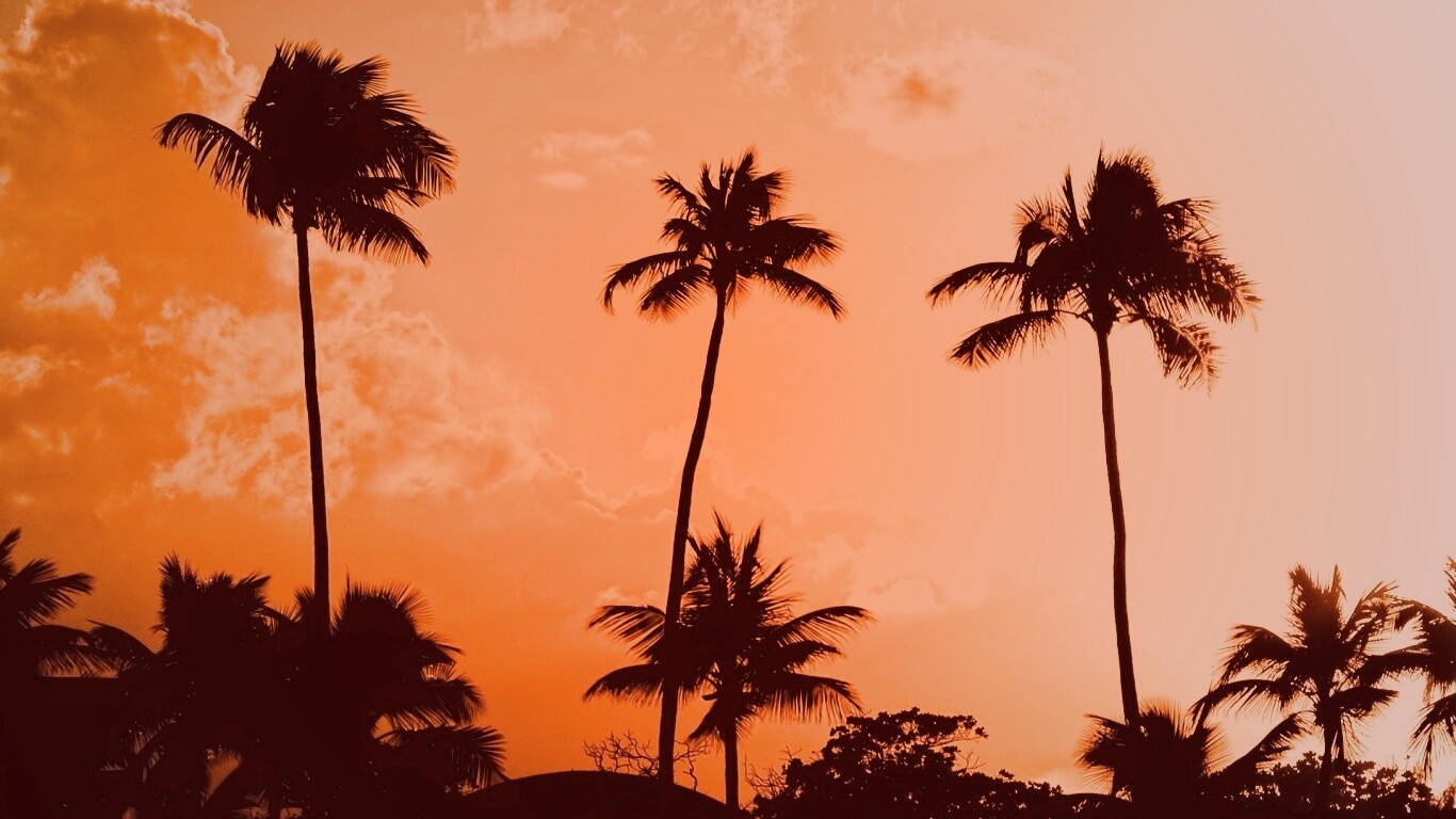 Пальмы на закате обои