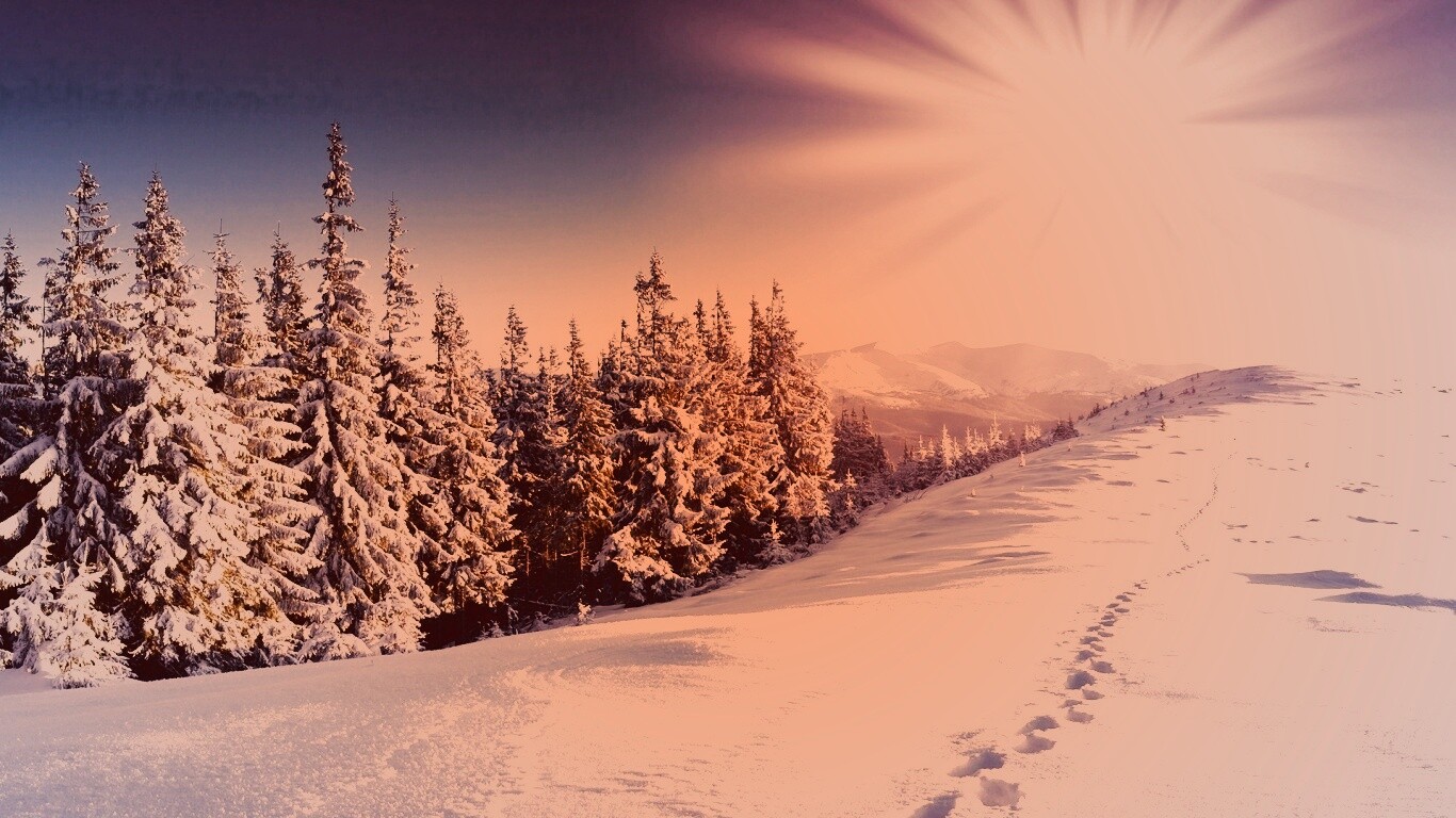 Холодные лучи зимнего солнца обои