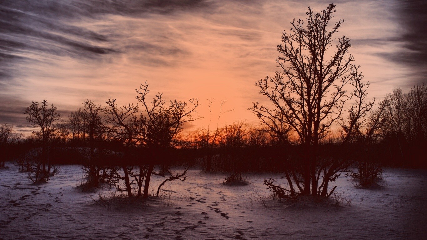 Закат в зимнем лесу обои