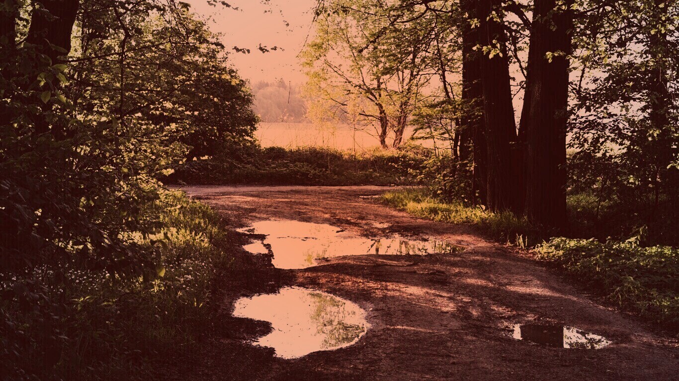 Лесная дорога обои