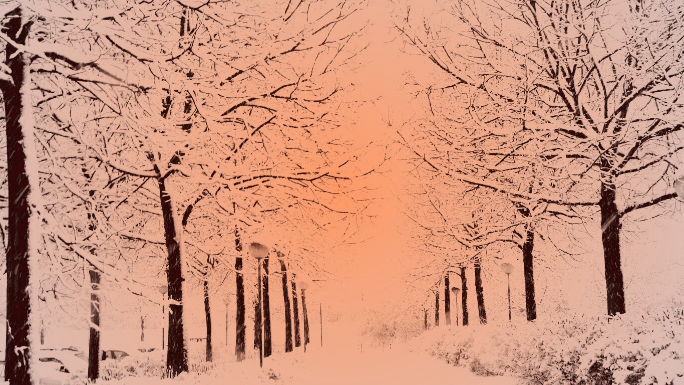 Заснеженная аллея обои