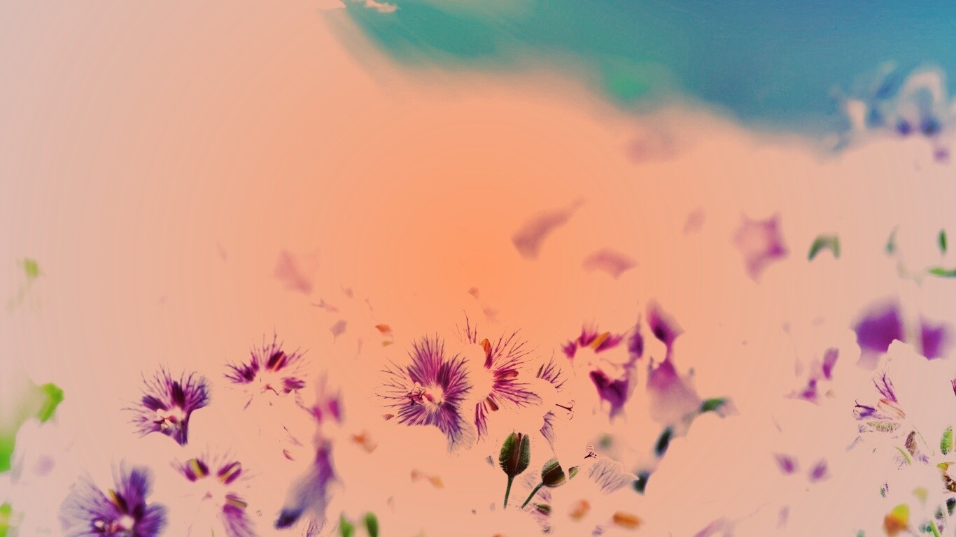 Цветочки обои