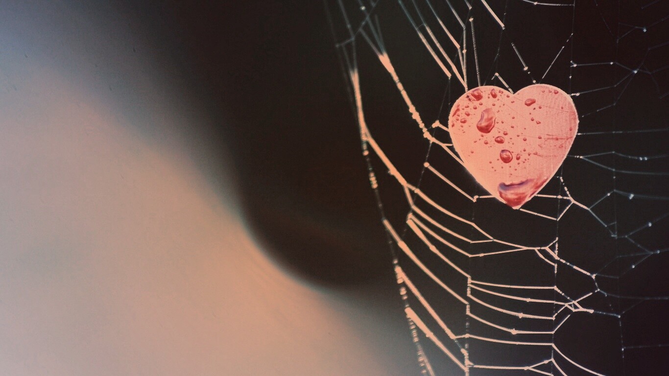Сердце в паутине обои