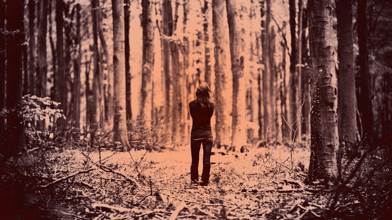 Одна в лесу обои