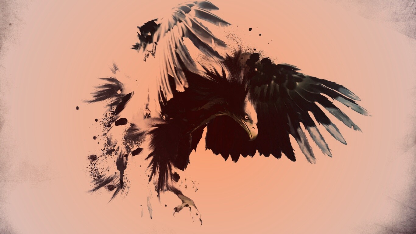 Скетч с орлом обои