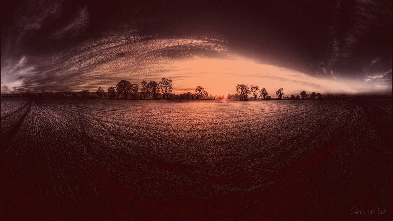 Поле широкоугольным объективом обои