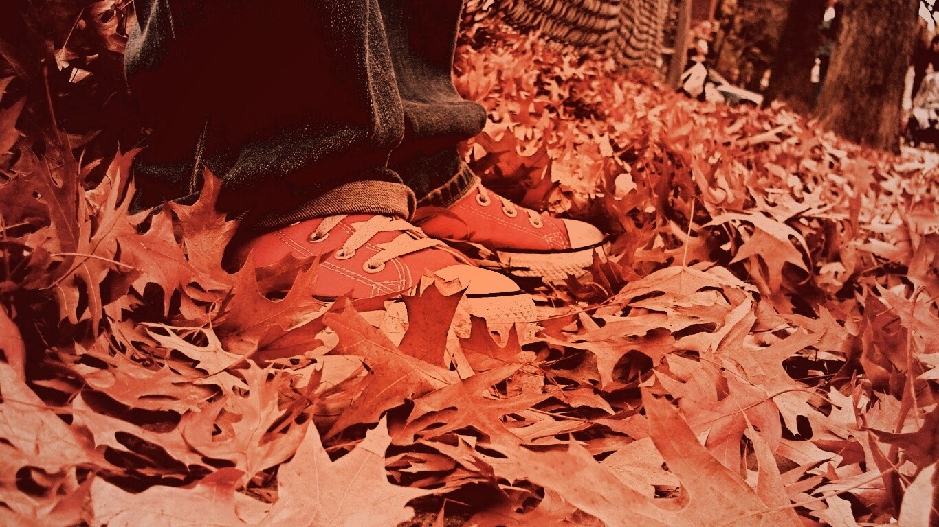 Оранжевые кеды обои