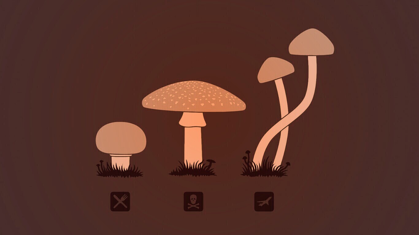 Грибочки обои