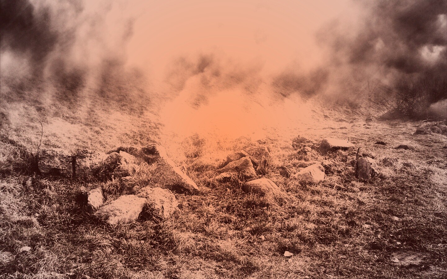 Туман на склоне обои