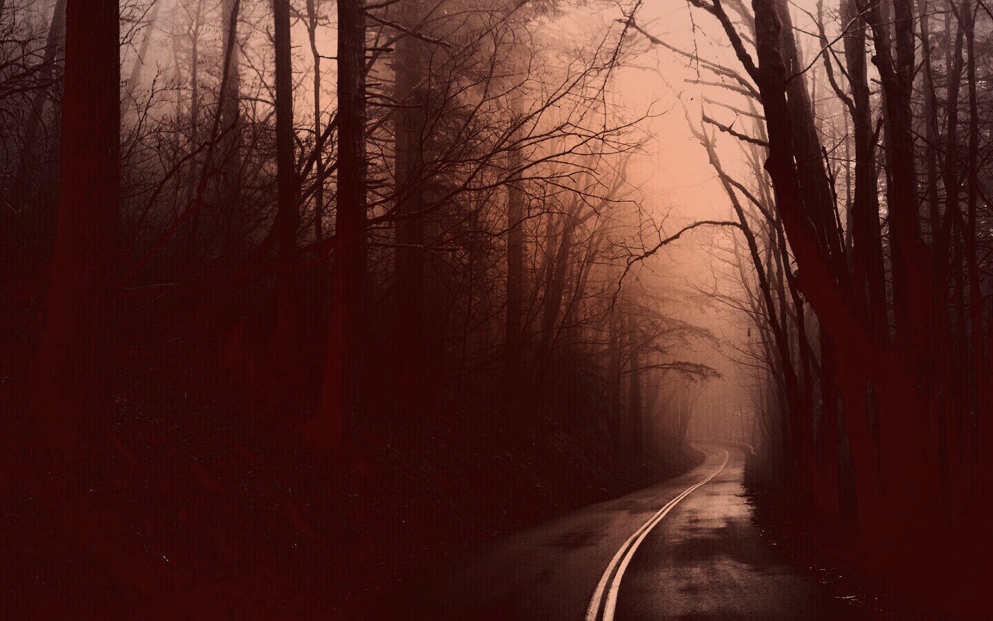 В туман обои