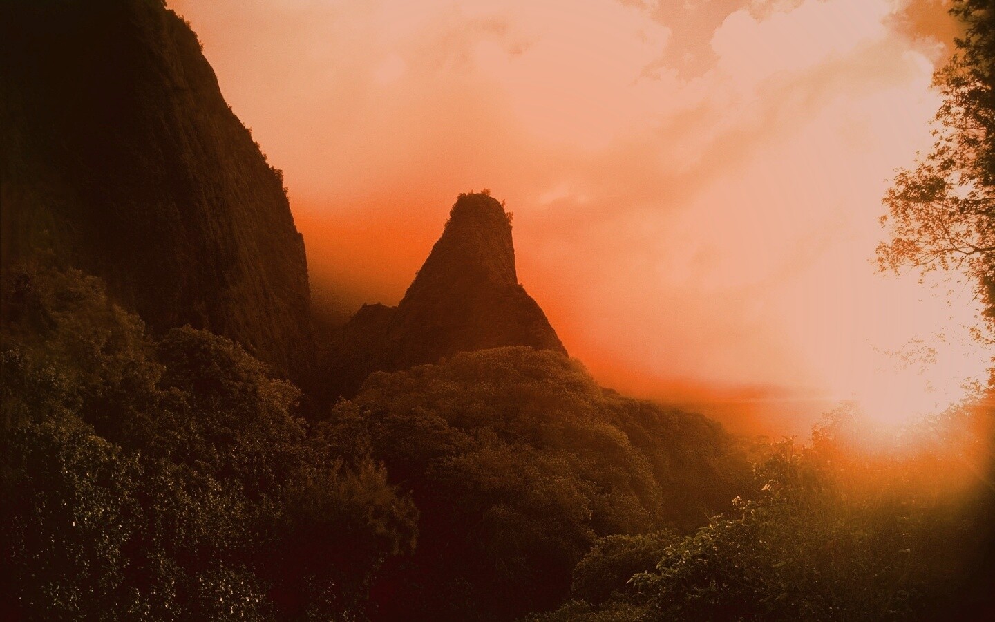 Заросшие джунглями горы обои