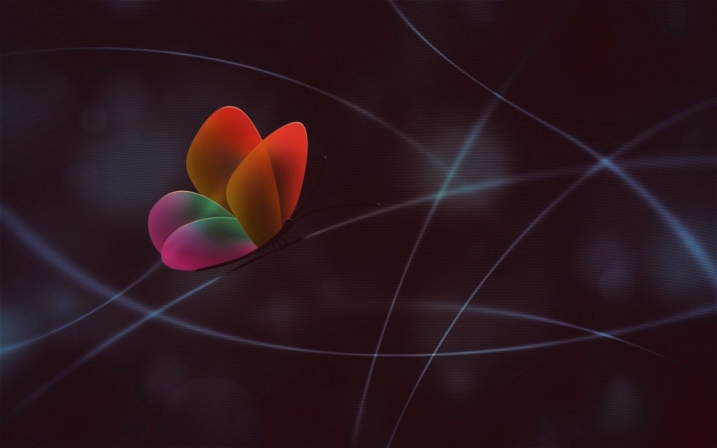 Бабочка с радужными крыльями обои