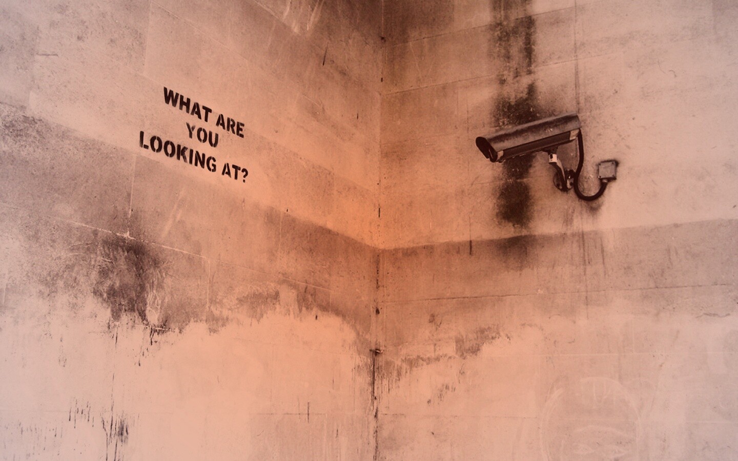 На что ты смотришь? обои