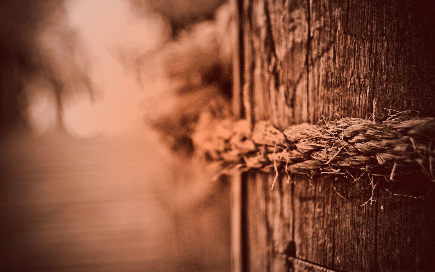 Веревка на деревянном столбе обои