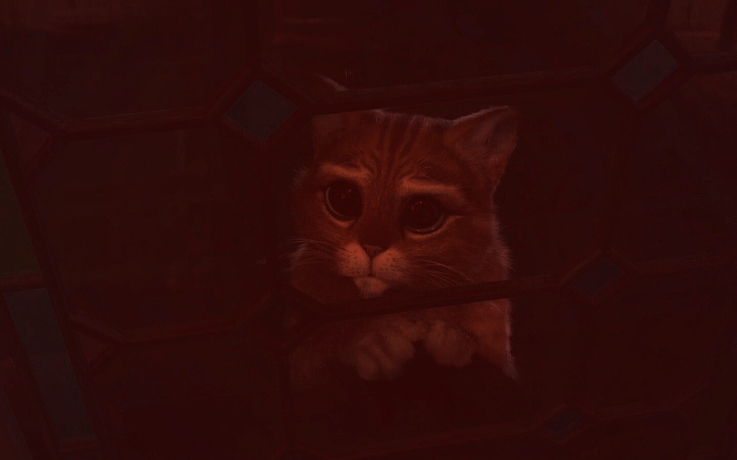 Кот в сапогах обои