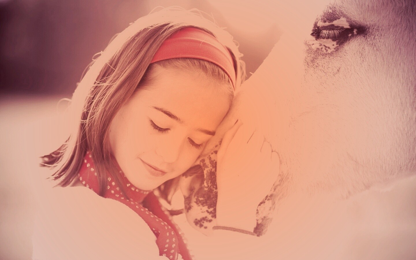 Девочка и лошадь обои