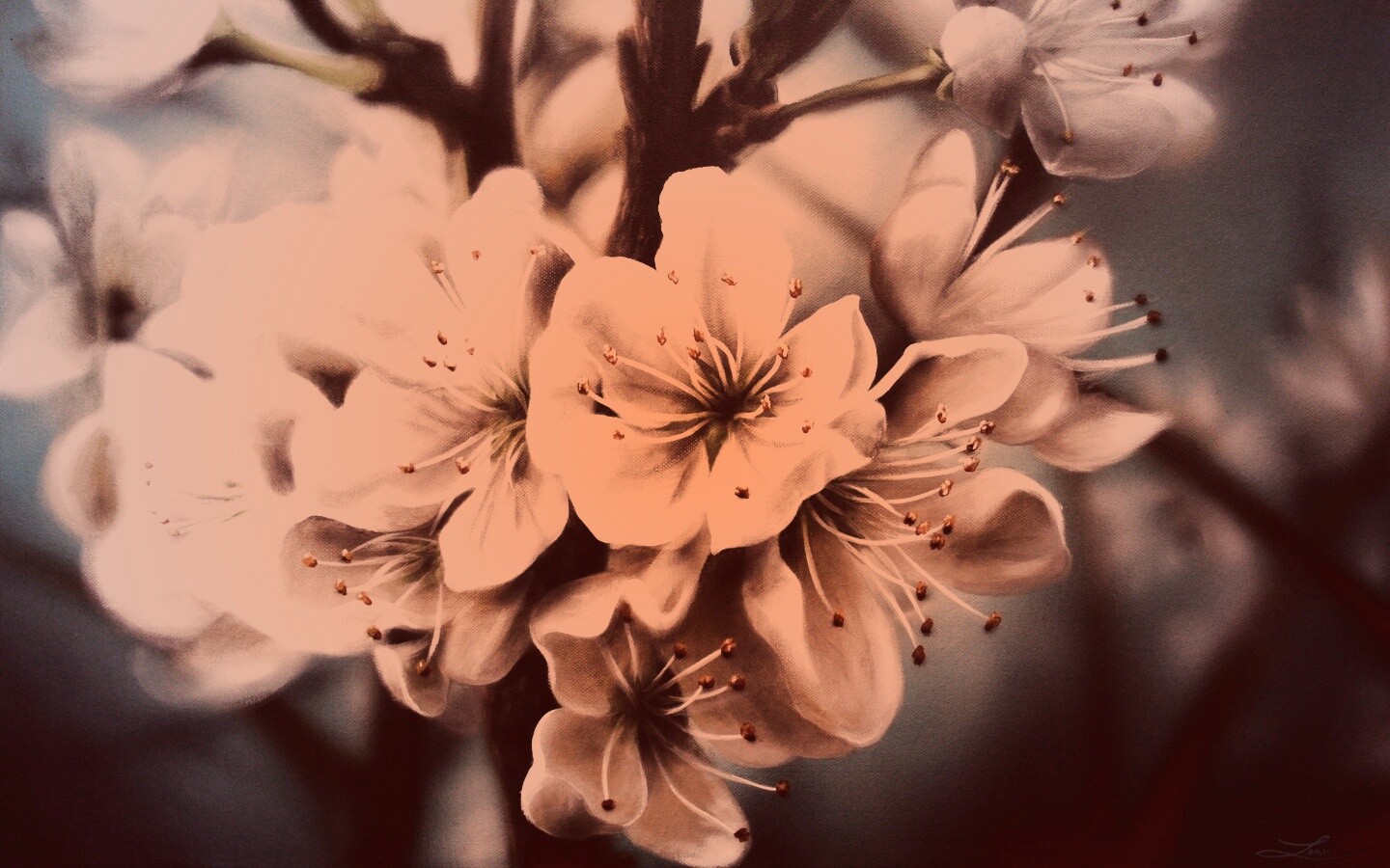 Яблоня в цвету картина обои