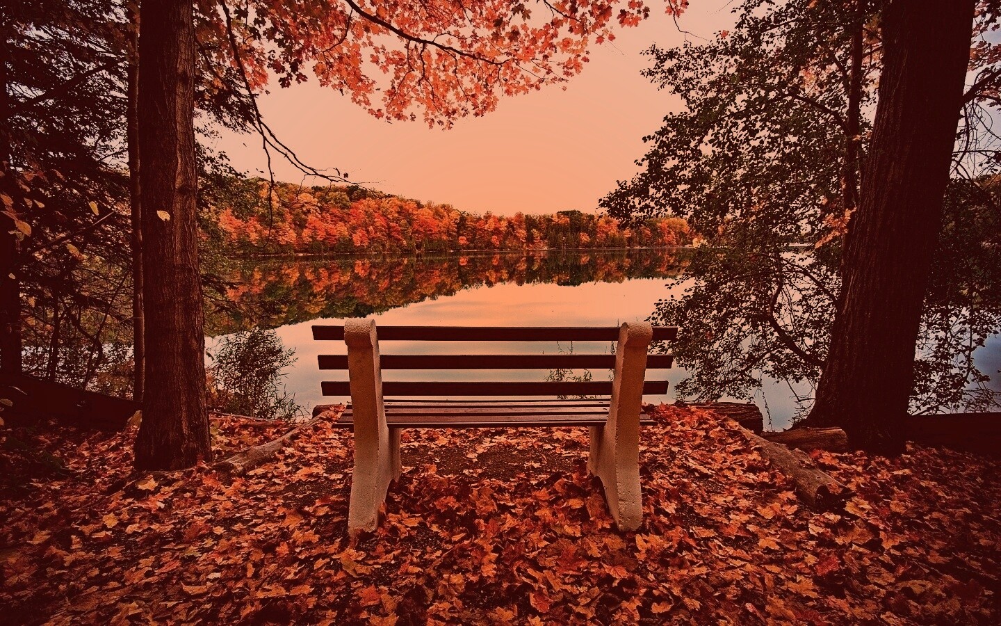 Вид на осеннее озеро обои