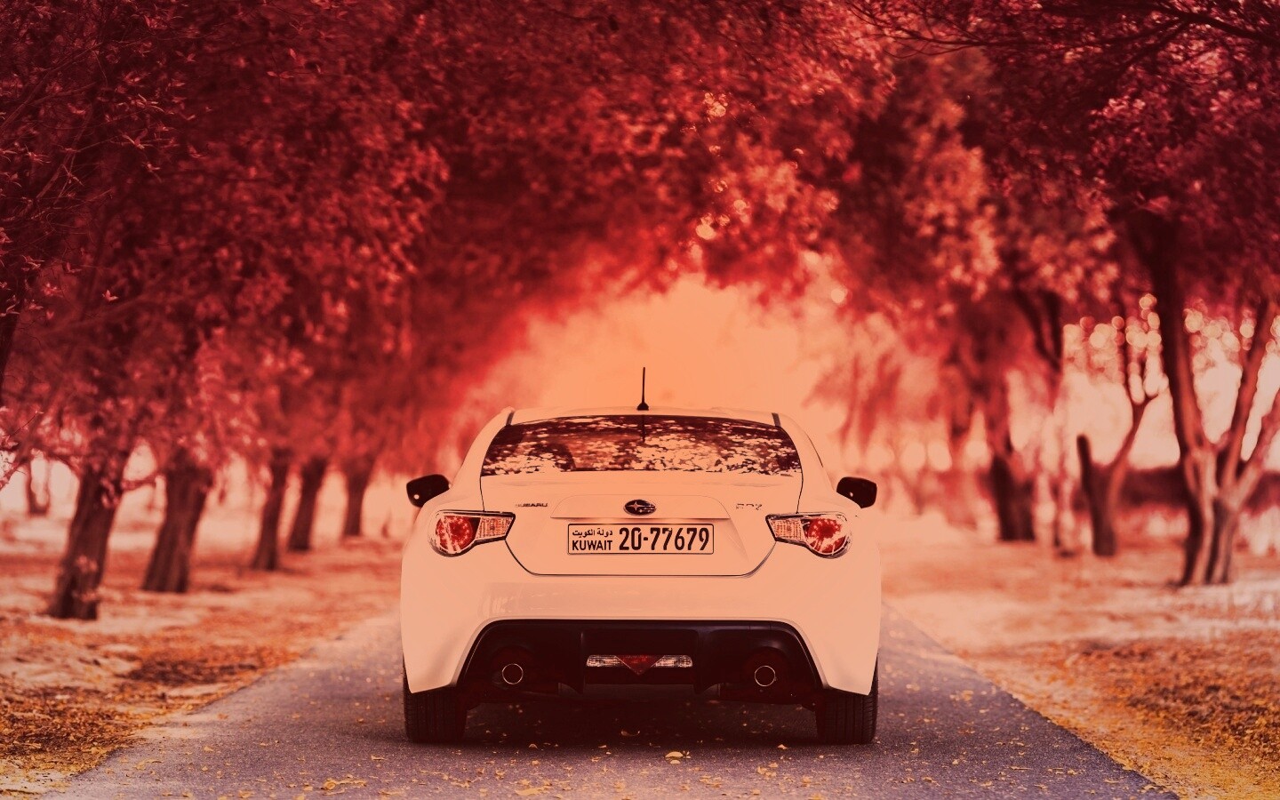 Субару на осенней дороге обои