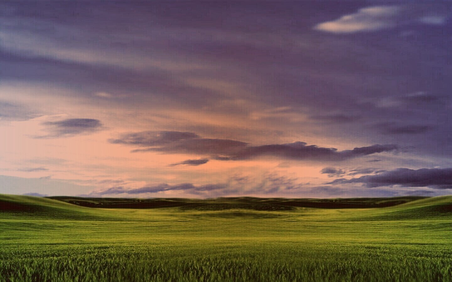 Зеленый луг обои