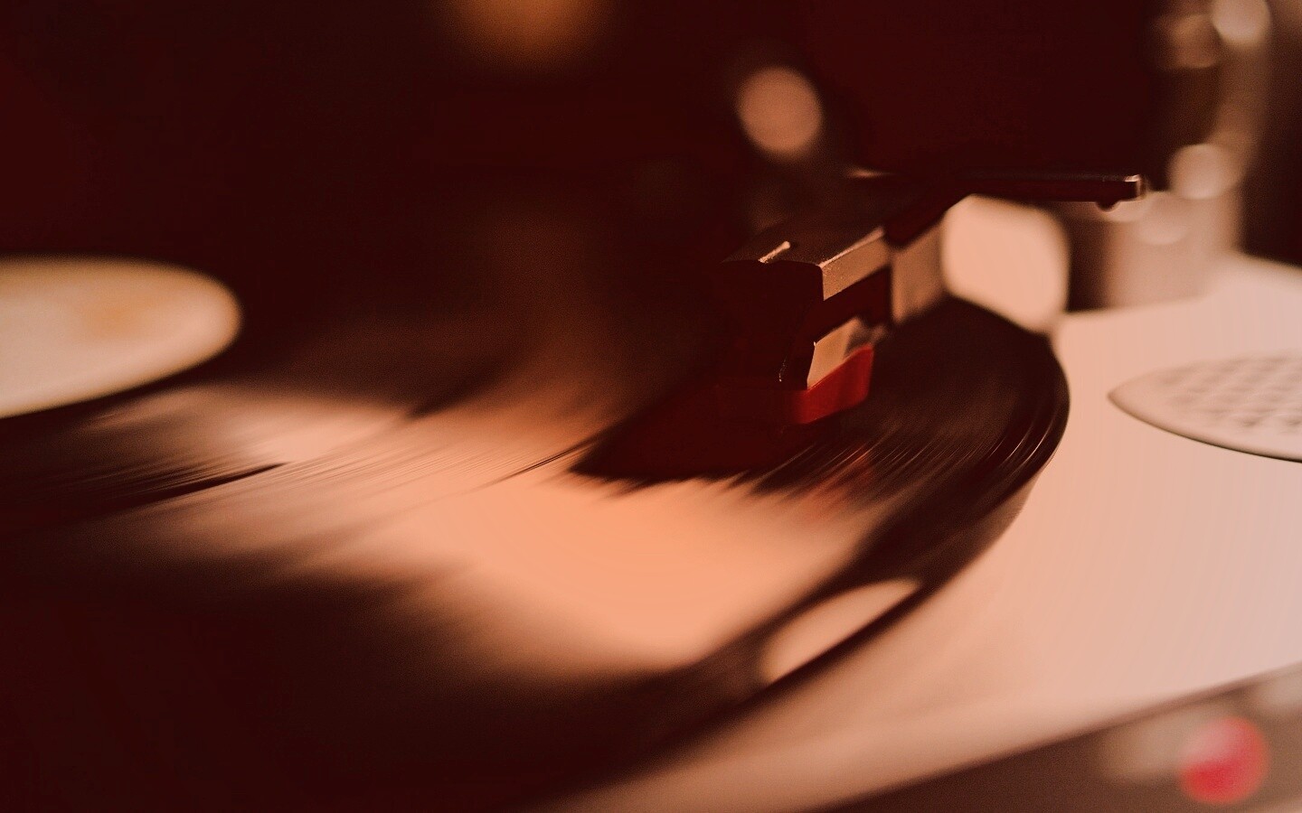 Пластинка обои