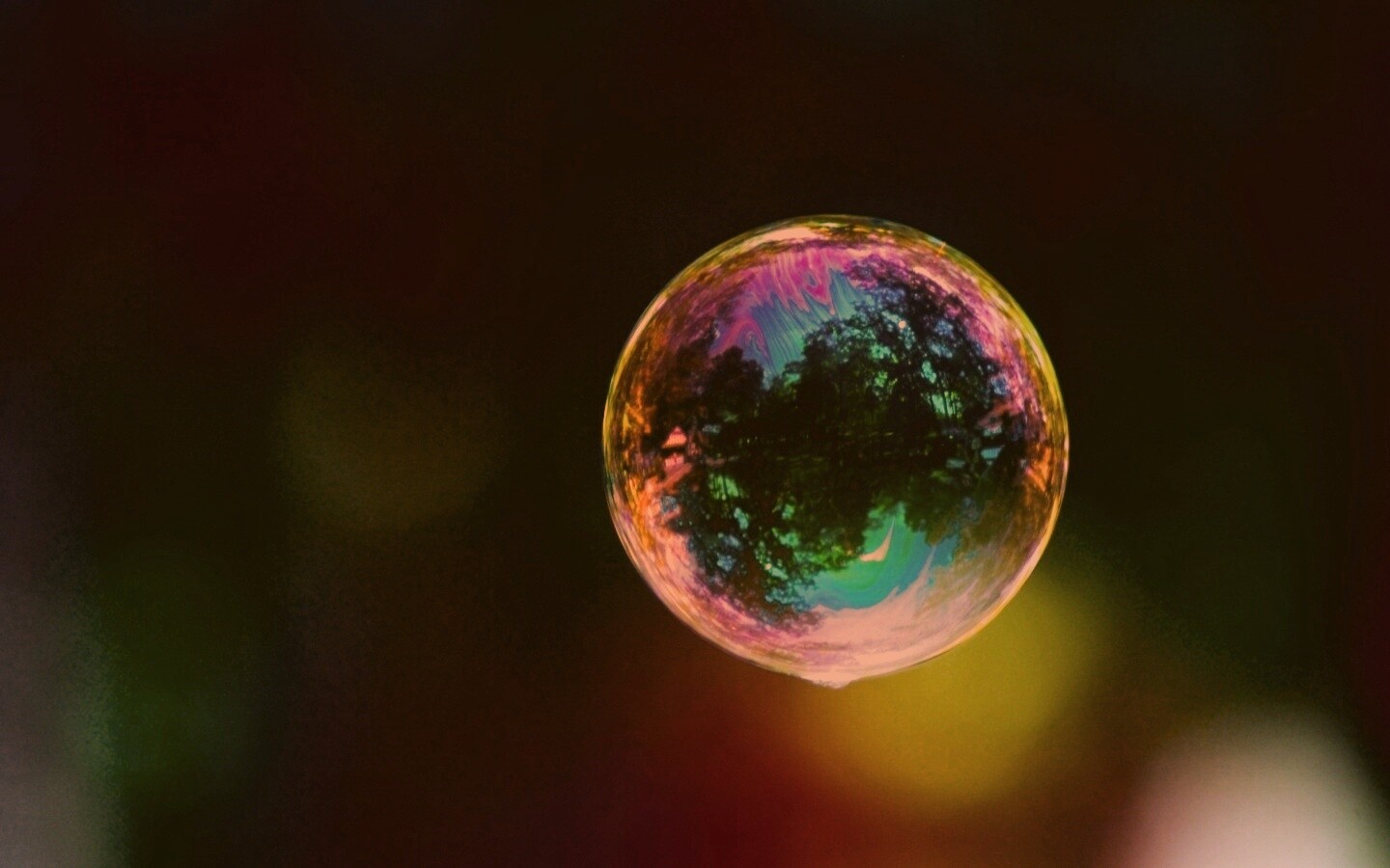 Мыльный пузырь обои