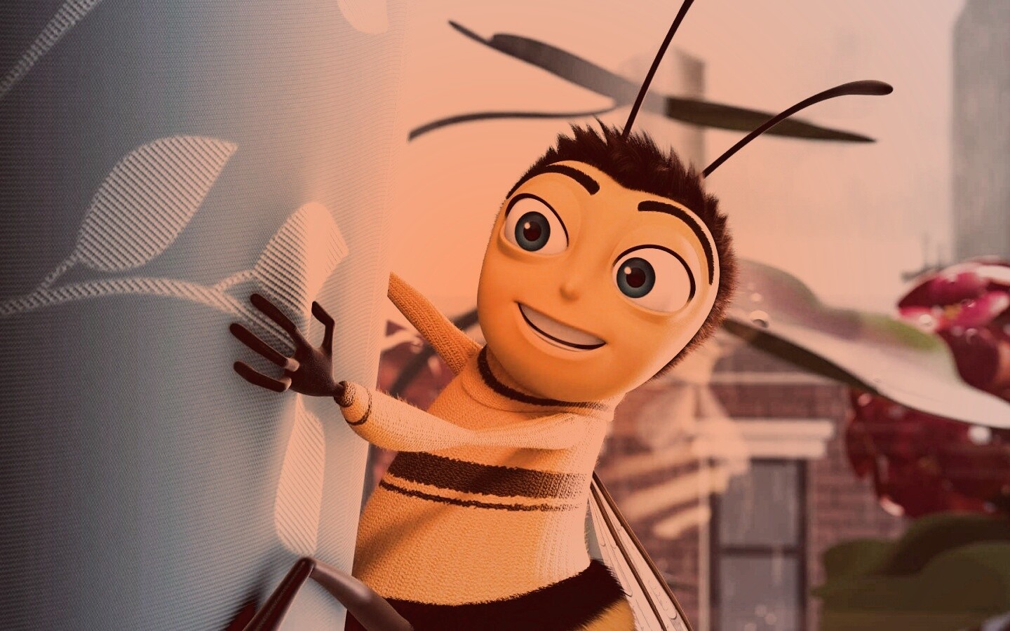 Бимуви обои