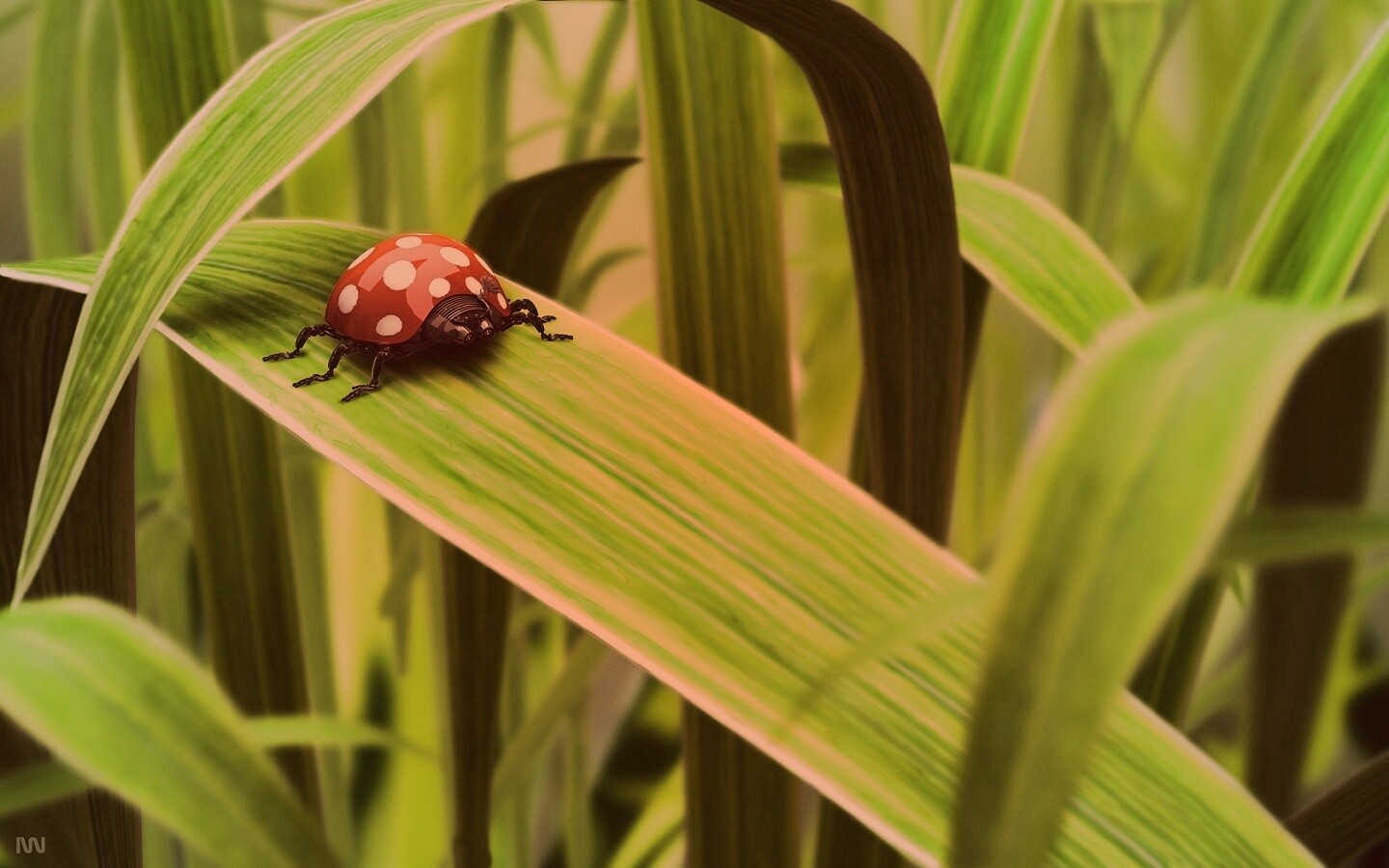 Милая божья коровка робот обои
