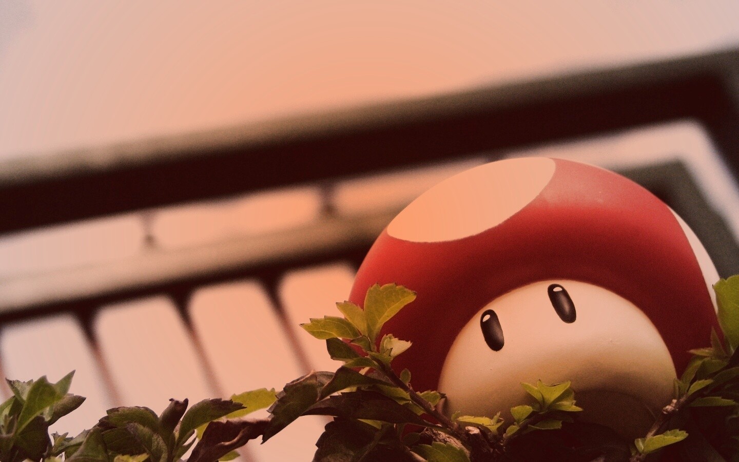 Гриб из Марио обои